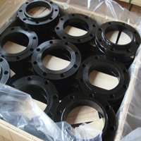 A105N Flanges Socket Weld Flanges manufacturers in india 